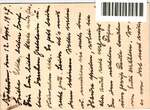 Deutsches Reich 385, 387 auf Postkarte Portomarke