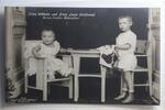 AK Deutschland Prinzen Wilhelm und Louis Ferdinand 1911 gebraucht -