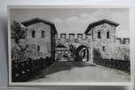 AK Bad Homburg Römerkastell Saalburg 83 - 260 n. Chr. 1956 gebraucht -