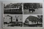 AK Eulbach i. Odw. Mehrbildkarte - Waldgaststätte Inh. E.Dick ungebraucht -