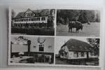 AK Eulbach i. Odw. Mehrbildkarte - Waldgaststätte Inh. E.Dick ungebraucht -