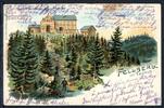 AK Feldberg im Taunus Neues Feldberghaus F. Sturm 1900 gebraucht -