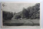 AK Bad Wildungen Kurpark 1927 gebraucht -