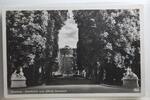 AK Potsdam Durchblick zum Schloss Sanssouci ungebraucht -