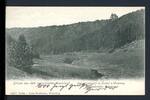 AK Hochsauerlandkreis Nunetal mit Jagdschloss Hubertushof 1904 gebraucht -