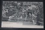 AK Bad Freienwalde a. O. Johannesquelle 1906 gebraucht -