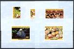 Kongo Brazzaville Einzelblocks Kongo Brazzaville Einzelblocks 1016-1020 B postfrisch Pilze MiNr. 1016-1020 B postfrisch Pilze -