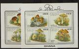 Ghana Ghana Block 164 und 165 postfrisch Pilze MiNr. Block 164 und 165 postfrisch Pilze -