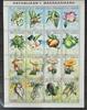 Madagaskar Madagaskar 1626-1641 postfrisch ZD-Bogen / Pilze MiNr. 1626-1641 postfrisch ZD-Bogen / Pilze -