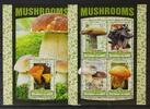 Salomon Inseln Salomon Inseln 3511-3514 und Block 483 postfrisch Kleinbogen / Pilz MiNr. 3511-3514 und Block 483 postfrisch Kleinbogen / Pilz -