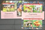 Mosambik Mosambik aus Jahrgang 2019 postfrisch Kleinbogen und Block / Pilze MiNr. aus Jahrgang 2019 postfrisch Kleinbogen und Block / Pil -