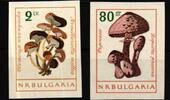 Bulgarien Bulgarien 1268 und 1270 B postfrisch Pilze MiNr. 1268 und 1270 B postfrisch Pilze -