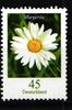BRD Bund BRD Bund 2451 R 1 postfrisch Nummer 255 Rollenmarke MiNr. 2451 R 1 postfrisch Nummer 255 Rollenmarke -