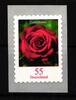 BRD BRD 2675 RE 1 postfrisch selbstklebend Rollenmarke MiNr. 2675 RE 1 postfrisch selbstklebend Rollenmarke -