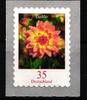 BRD Bund BRD Bund 2514 RA 1 postfrisch selbstklebend, Nummer 2000 Rollenmarke MiNr. 2514 RA 1 postfrisch selbstklebend, Nummer 2000 Rolle -