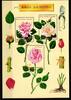 Frankreich Frankreich Block 21 postfrisch MiNr. Block 21 postfrisch -