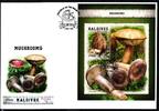 Malediven Malediven Block 1162 gestempelt als FDC / Pilze MiNr. Block 1162 gestempelt als FDC / Pilze -