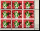 BRD Bund BRD Bund 240 postfrisch 9er Block vom Eckrand MiNr. 240 postfrisch 9er Block vom Eckrand -