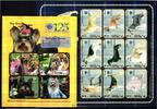 St. Vincent St. Vincent 6628-6640 postfrisch als ZD-Bögen, Hunde MiNr. 6628-6640 postfrisch als ZD-Bögen, Hunde -
