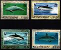 Montserrat Montserrat 786-789 postfrisch Delphine, Meeresfauna MiNr. 786-789 postfrisch Delphine, Meeresfauna -