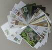 Motiv Eulen Lot von 50 Stück auf Brief oder Postkarte -