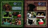 Antigua und Barbuda Antigua und Barbuda 4659-4666 postfrisch Kleinbogensatz / Hunde MiNr. 4659-4666 postfrisch Kleinbogensatz / Hunde -