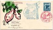 Ryukyu-Inseln FDC 43 als Ersttagsbrief -