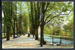AK Düsseldorf Seufzerallee im Hofgarten um 1920 ungebraucht -