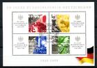 BRD BRD Block 49 I gestempelt Frankfurt, Plattenfehler MiNr. Block 49 I gestempelt Frankfurt, Plattenfehler -