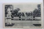 AK Potsdam Schloss Sanssouci mit den Terrassen ungebraucht -