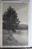 AK Seefeld Motiv mit Hohe Munde 1927 gebraucht -