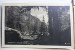 AK Bad Gastein Anlauftal m. Ankogel 3262 m ungebraucht -
