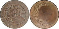 Nederland Medaille 1897. nationale tentoonstelling vak & kunst Dordrecht W. Stok jr -