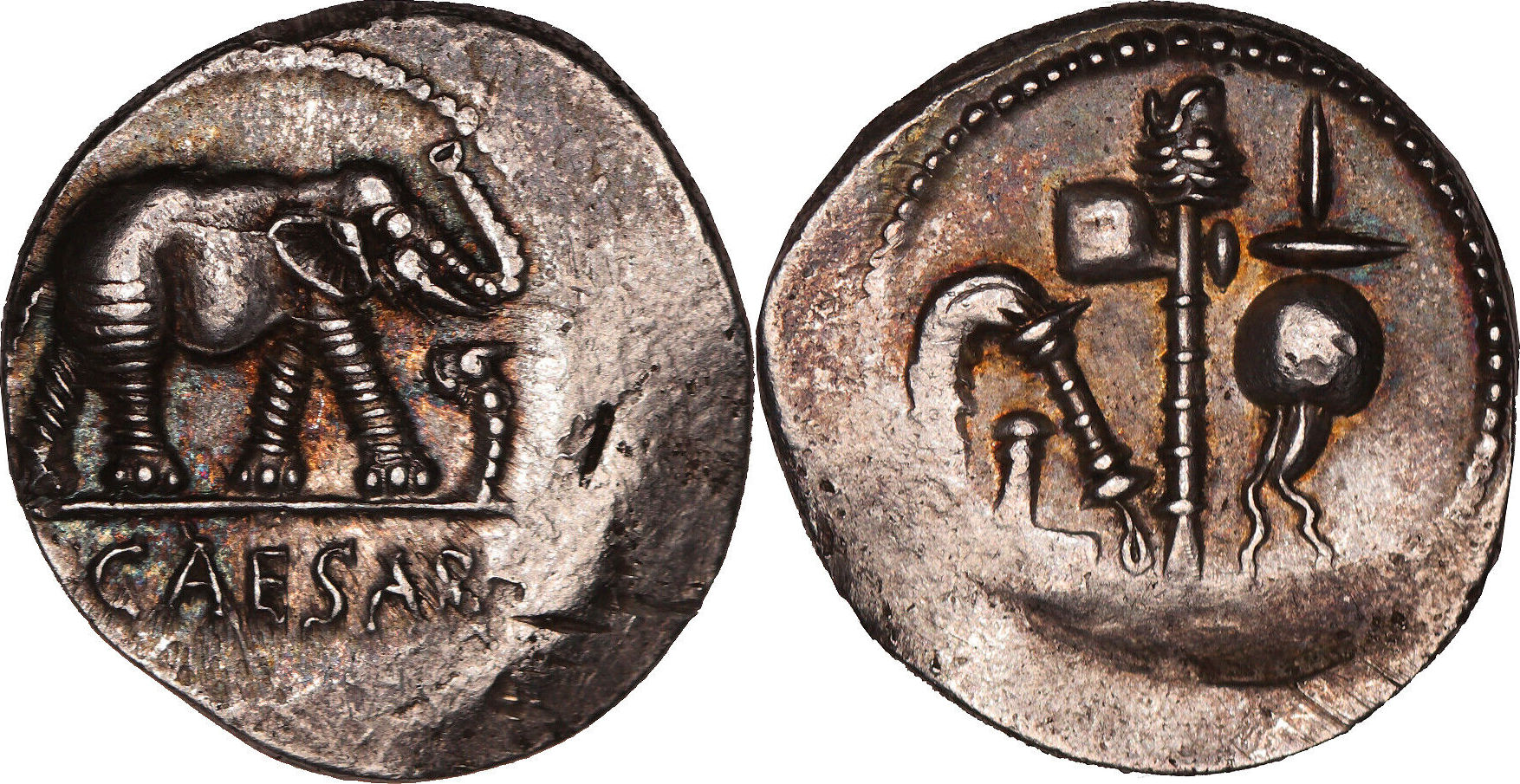 Denier Jules César Julius Caesar Denarius Elephant UNC patine rare | MA