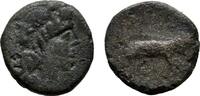  Æ-14 mm 300-275 v. Chr. CAMPANIA NEAPOLIS. Sehr schön-Schön  38,00 EUR  +  8,00 EUR shipping