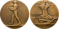 LANDWIRTSCHAFT Bronzemedaille -