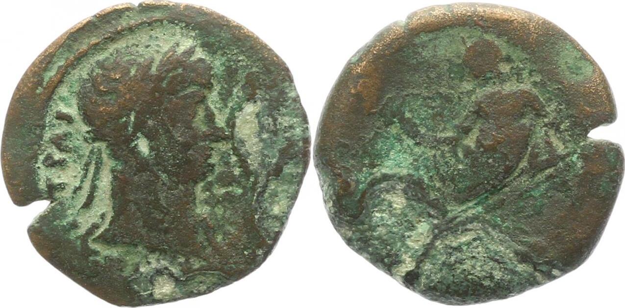 Auctus117