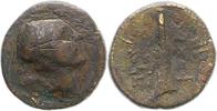  AE 174 - 150  v. Chr. Phoenicia unbek. Herrscher 174 - 150 v. Chr.. Kra... 35,00 EUR  +  4,00 EUR shipping