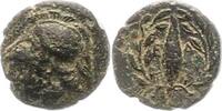  AE 340 - 300  v. Chr. Aiolis unbekannter Herrscher 340 - 300 v. Chr.. S... 45,00 EUR  +  4,00 EUR shipping