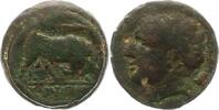  AE 288 - 278  v. Chr. Sicilia unter den Mamertini 288 - 278 v. Chr.. Sc... 35,00 EUR  +  4,00 EUR shipping