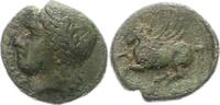  AE 317 - 289  v. Chr. Sicilia Agathokles 317 - 289 v. Chr.. Schöne Pati... 35,00 EUR  +  4,00 EUR shipping
