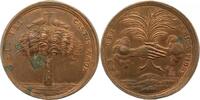 Gelegenheitsmedaillen Bronzemedaille -