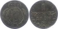 Sachsen-Albertinische Linie Pfennig Friedrich August III. 1763-1806. -