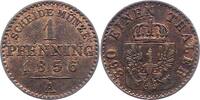 Brandenburg-Preußen Pfennig Friedrich Wilhelm IV. 1840-1861. -