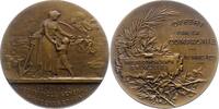Bronzemedaille 1923 Belgien-Brüssel, Stadt  Vorzüglich