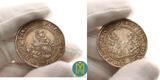 Sachsen-Ernestinische Linie 1/2 Taler ohne Jahr. Saalfeld. Johann Friedrich II., Johann Wilhelm u. Johann Friedrich I gemeinsam 1554-1557. VF+
