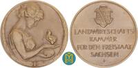 Bronzemedaille von Friedrich Wilhelm Hörnlein  Sachsen Dresden Stadt Preismedaille der Landwirtschaftskammer. Stempelglanz / mattiert. Im origina...