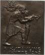 Schweden Tragbares Bronzeabzeichen 1945 58,5 x 48 mm EF