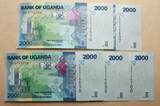 Uganda 2024 Lot von 5 Kassenfrischen Banknoten zu 2000 Shillings 0 / UNC.