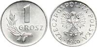 Polen 1 Grosz Kursmünze -